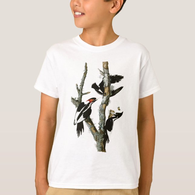 T-shirt Pic à l'ivoire d'Audubon (Devant)