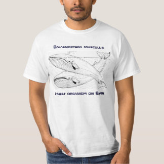 T-shirt Pièce en t de baleine bleue