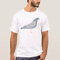 Pigeon
