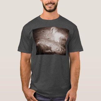 T-shirt pigeon