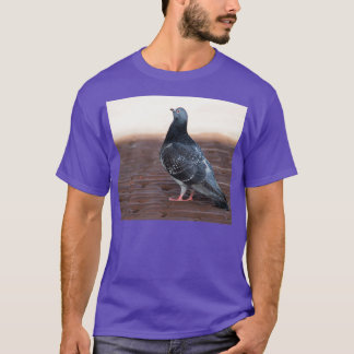 T-shirt Pigeon 1
