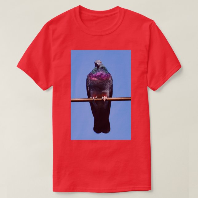 T-shirt pigeon 2 (Design devant)