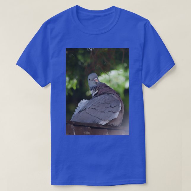 T-shirt Pigeon 2 indigné (Design devant)