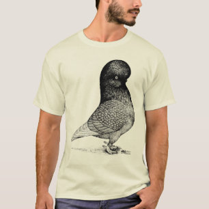 T-shirt Pigeon à tombeau andalou