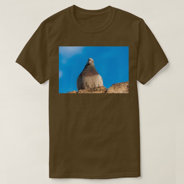 T-shirt Pigeon assis sur un mur de pierre (Design devant)