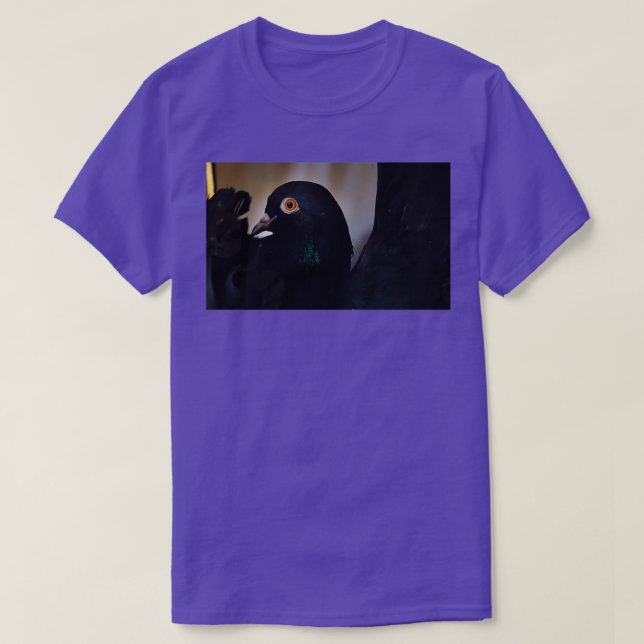T-shirt Pigeon noir Orange yeux 1 (Design devant)