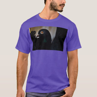 T-shirt Pigeon noir Orange yeux 1