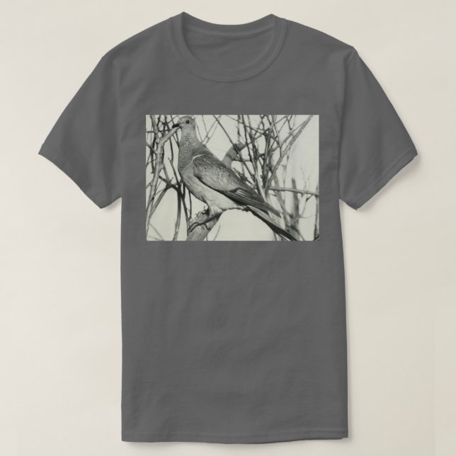T-shirt Pigeon passager (Design devant)