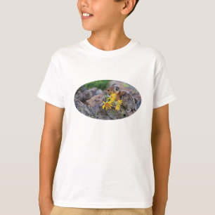 T-shirt pika