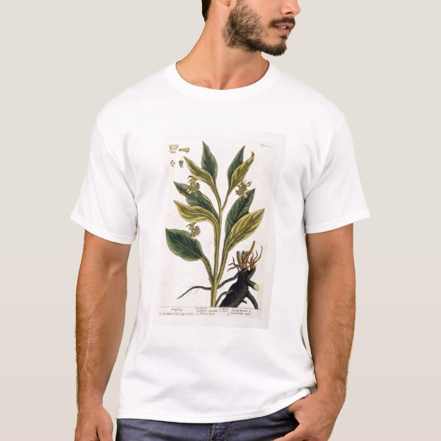 T-shirt Piments rouges (gravure de couleur) (Devant)