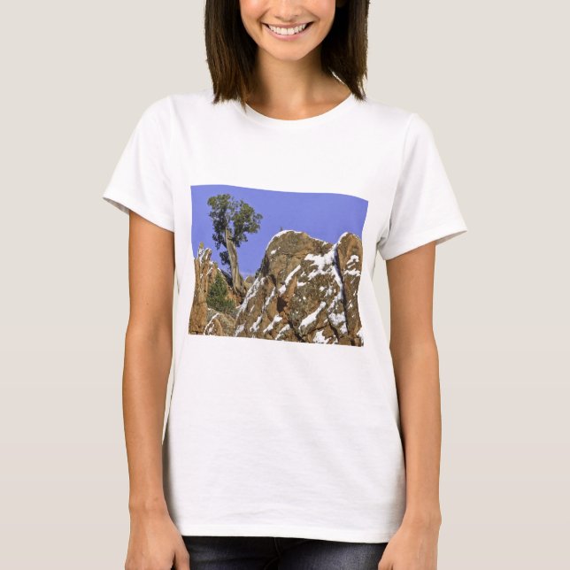 T-shirt Pin de Bristlecone (Devant)