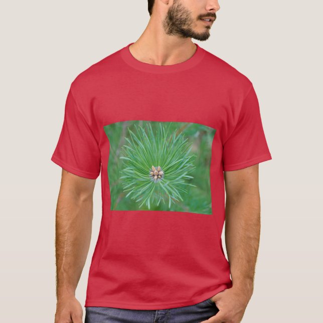 T-shirt Pine Forest Vibes  – Calm, Natural and Refr (Devant)