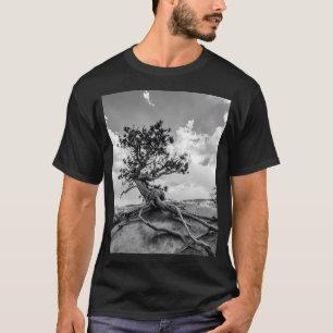 T-shirt Pine Sur Queens Garden Trail