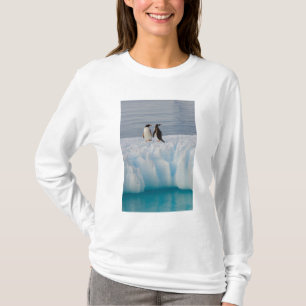T-shirt pingouin doux, Pygoscelis Papouasie, sur la glace