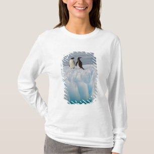 T-shirt pingouin doux, Pygoscelis Papouasie, sur la glace 