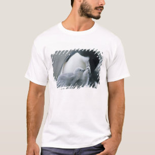 T-shirt Pingouins de Chinstrap, Pygoscelis antarctica),