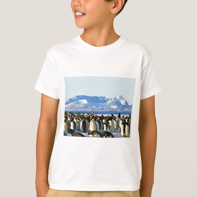 T-shirt Pingouins empereurs (Devant)