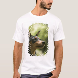 T-shirt Pinscher miniature (Minute-Pin) 2