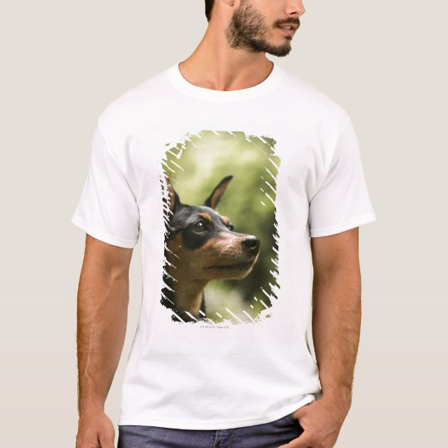 T-shirt Pinscher miniature (Minute-Pin) 2 (Devant)