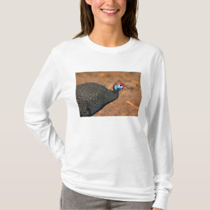 T-shirt Pintade huppée (Numida meleagris). Afrique,
