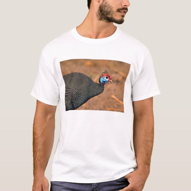T-shirt Pintade huppée (Numida meleagris). Afrique, (Devant)