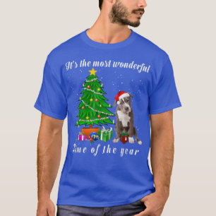 T-shirt Pit Bull Dog C'est le moment le plus merveilleux d