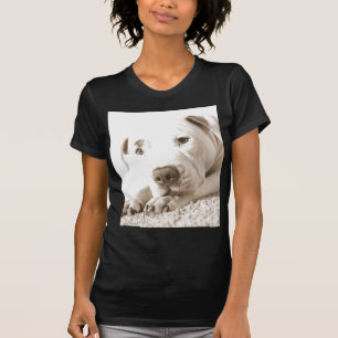 T-shirt pitbull blanc et somnolent acte de haine pas race