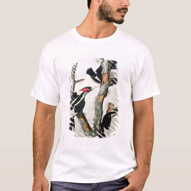 T-shirt pivert Ivoire-affiché, des 'oiseaux d'America (Devant)