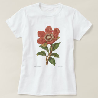 T-shirt Pivoine, image botanique victorienne d'antiquité