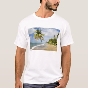 T-shirt Plage de Coconut Grove à Cades Bay, avec St. 2