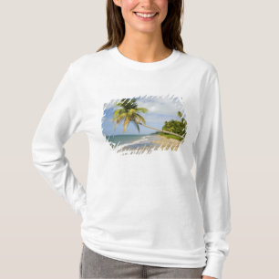 T-shirt Plage de Coconut Grove à Cades Bay, avec St. 2