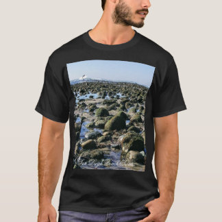 T-shirt Plage d'état de San Onofre de la plage de vieil