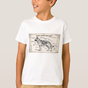 T-shirt Plan d'un chien de berger allemand