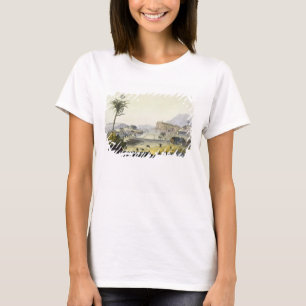 T-shirt Plantation de sucre, Antilles (gravure couleur)