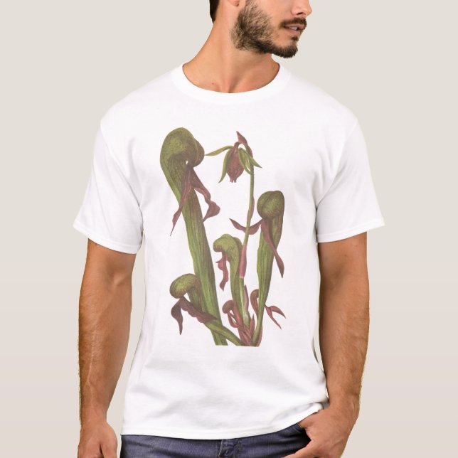 T-shirt Plante carnivore - californica de Darlingtonia (Devant)