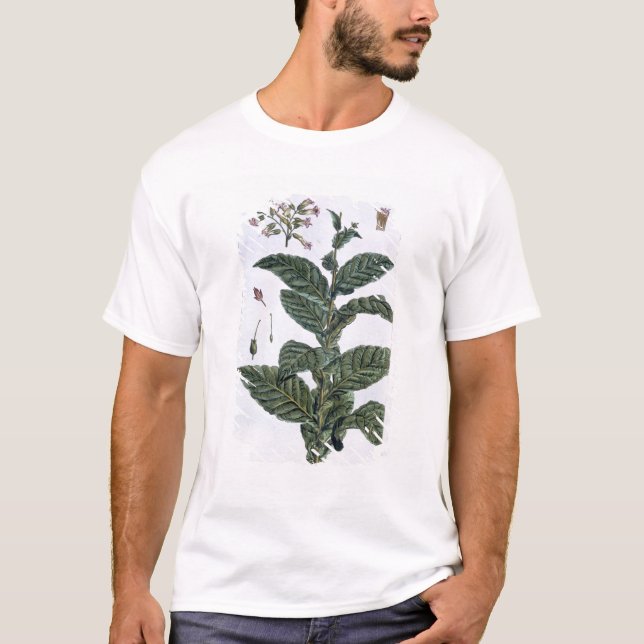 T-shirt Plante de tabac, plat 7, de 'collection Precieuse (Devant)