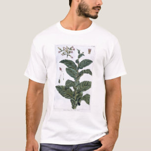 T-shirt Plante de tabac, plat 7, de 'collection Precieuse