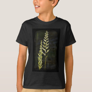 T-shirt Plante vert