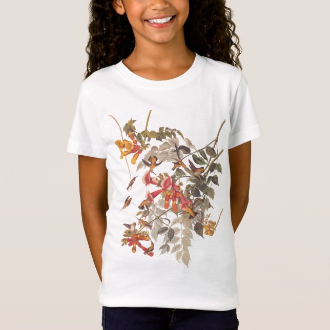 T-Shirt Plaque Audubon Colibri Ruby Throated 47 (Devant)