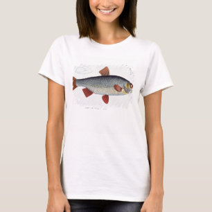 T-shirt Plate II de cafard (Cyprinus Rutilis) de 'Ichthyol