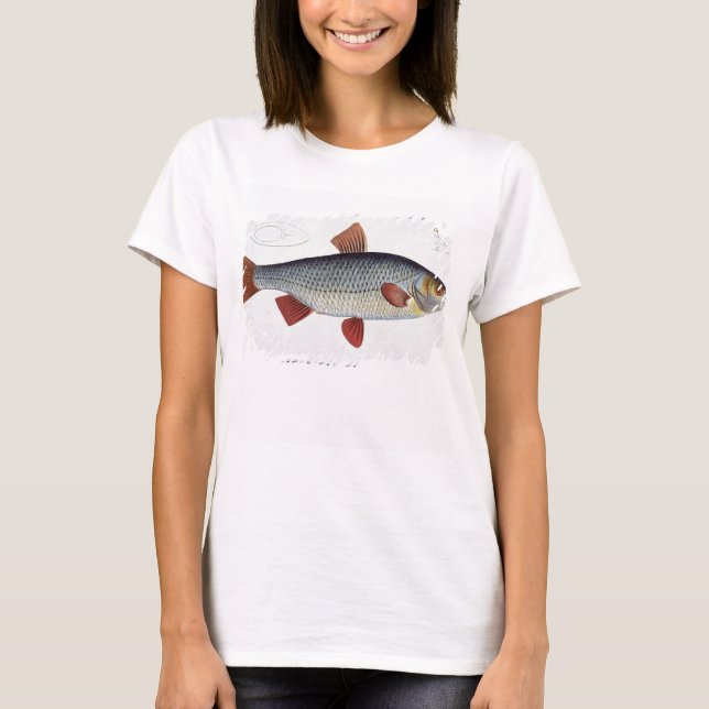 T-shirt Plate II de cafard (Cyprinus Rutilis) de 'Ichthyol (Devant)