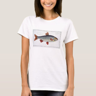 T-shirt Plate II de cafard (Cyprinus Rutilis) de 'Ichthyol