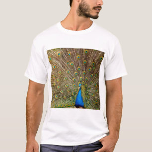 T-shirt Plumes de queue de paon