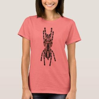 T-shirt Poecilotheria regalis (Indien ornemental)