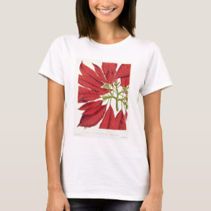 T-shirt Poinsettia Pulcherrima (litho de couleur)