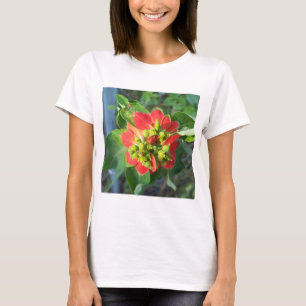 T-shirt Poinsettia sauvage