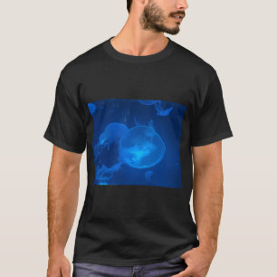 T-shirt poisson 09 cichlidés lac malawi