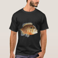 Poisson de poêle