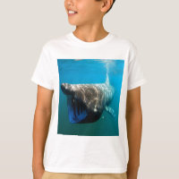 Poisson de requin Océan tropical Destin Cadeaux