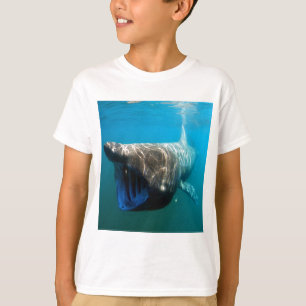T-shirt Poisson de requin Océan tropical Destin Cadeaux